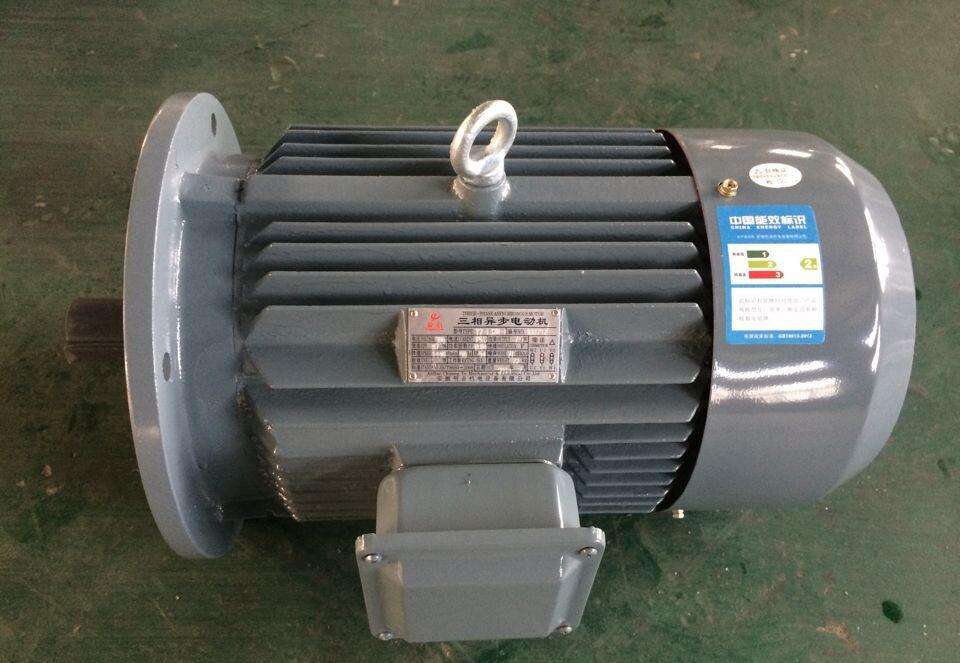 外轉(zhuǎn)子三相異步電動機(jī) 外轉(zhuǎn)子三相異步電動機(jī)